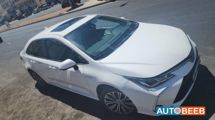 تويوتا كورولا 2019