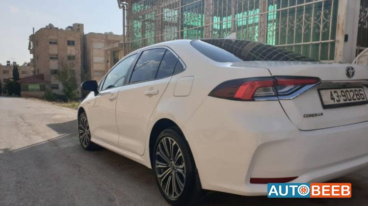 تويوتا كورولا 2019