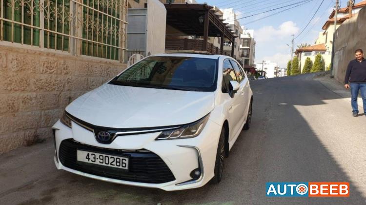 تويوتا كورولا 2019