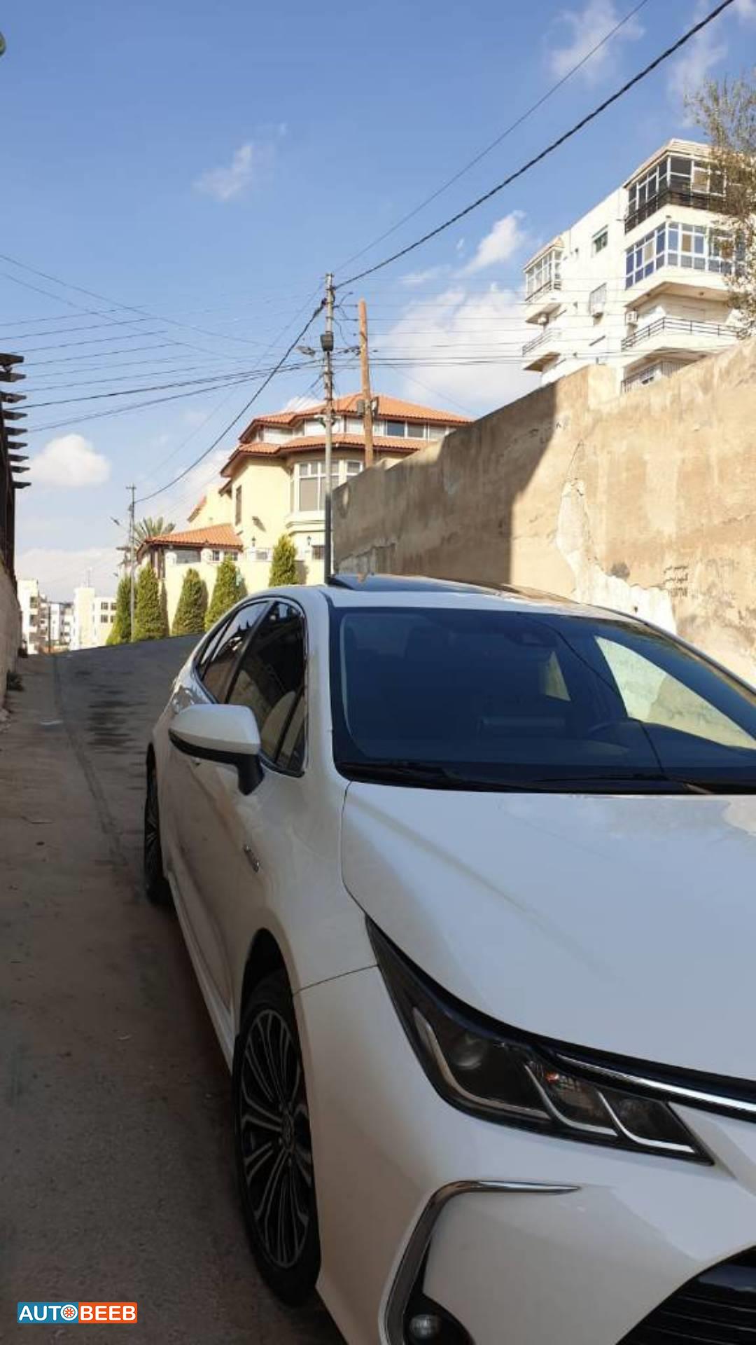 تويوتا كورولا 2019