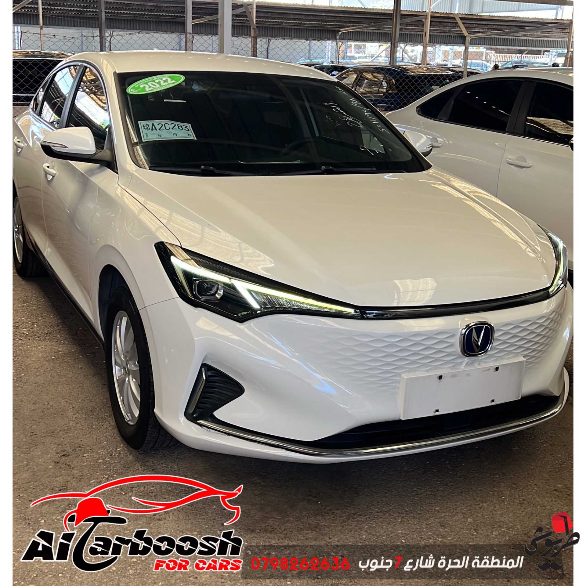 شانجان ايدو 2022