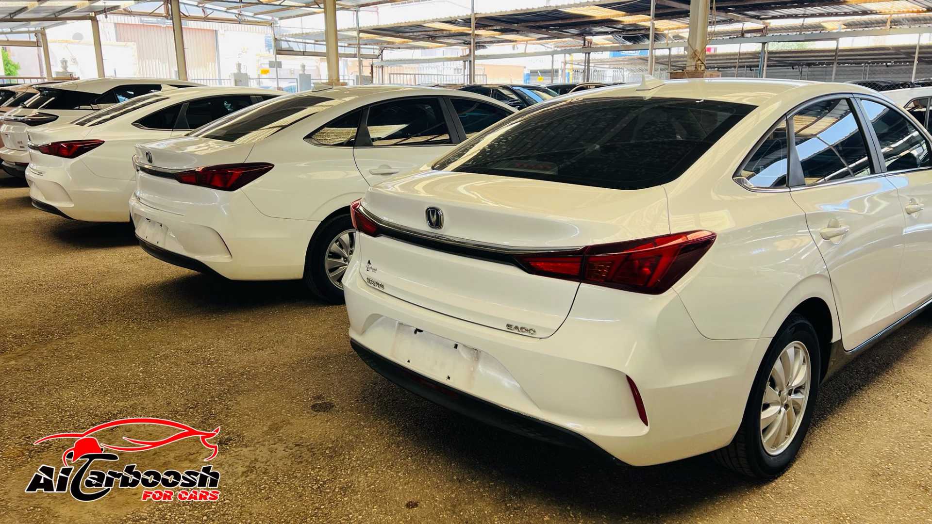 شانجان ايدو 2022