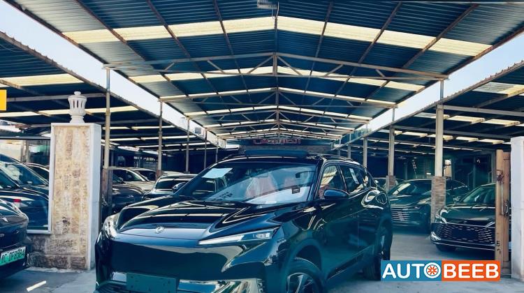 دونج فينج سكاي EV01 2026