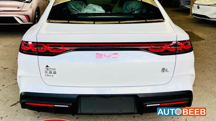 بي واي دي كين 2024