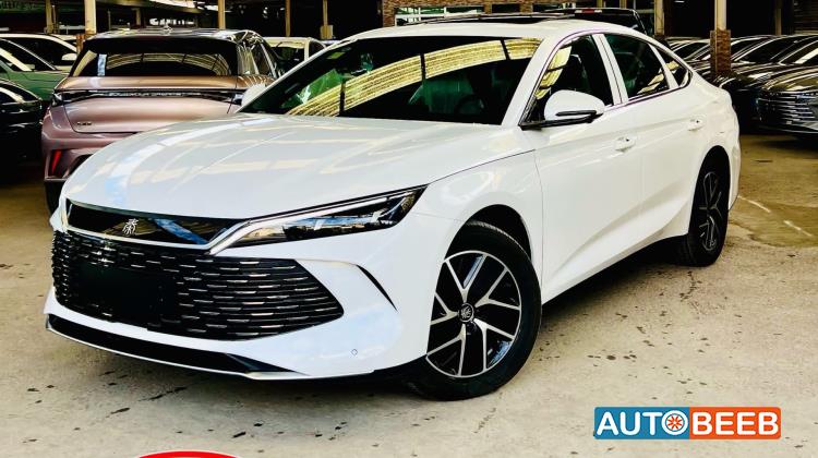 بي واي دي كين 2024