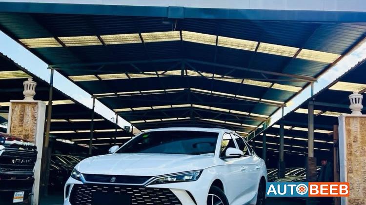 بي واي دي كين 2024