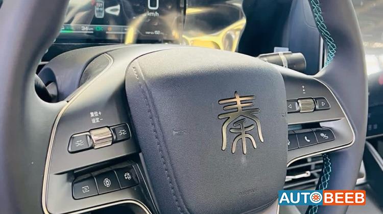 بي واي دي كين 2024