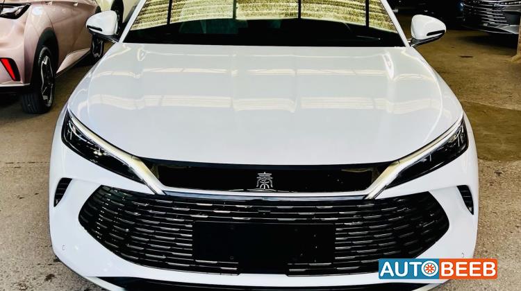 بي واي دي كين 2024