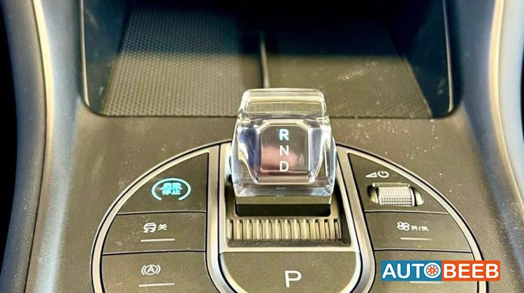 بي واي دي سي ليون 2025