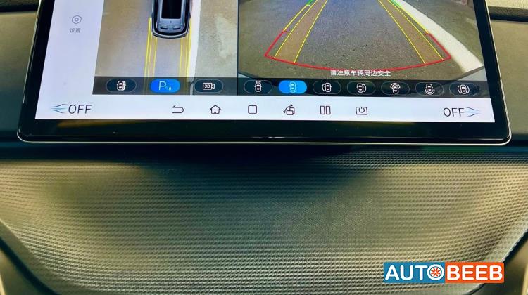 بي واي دي سي ليون 2025