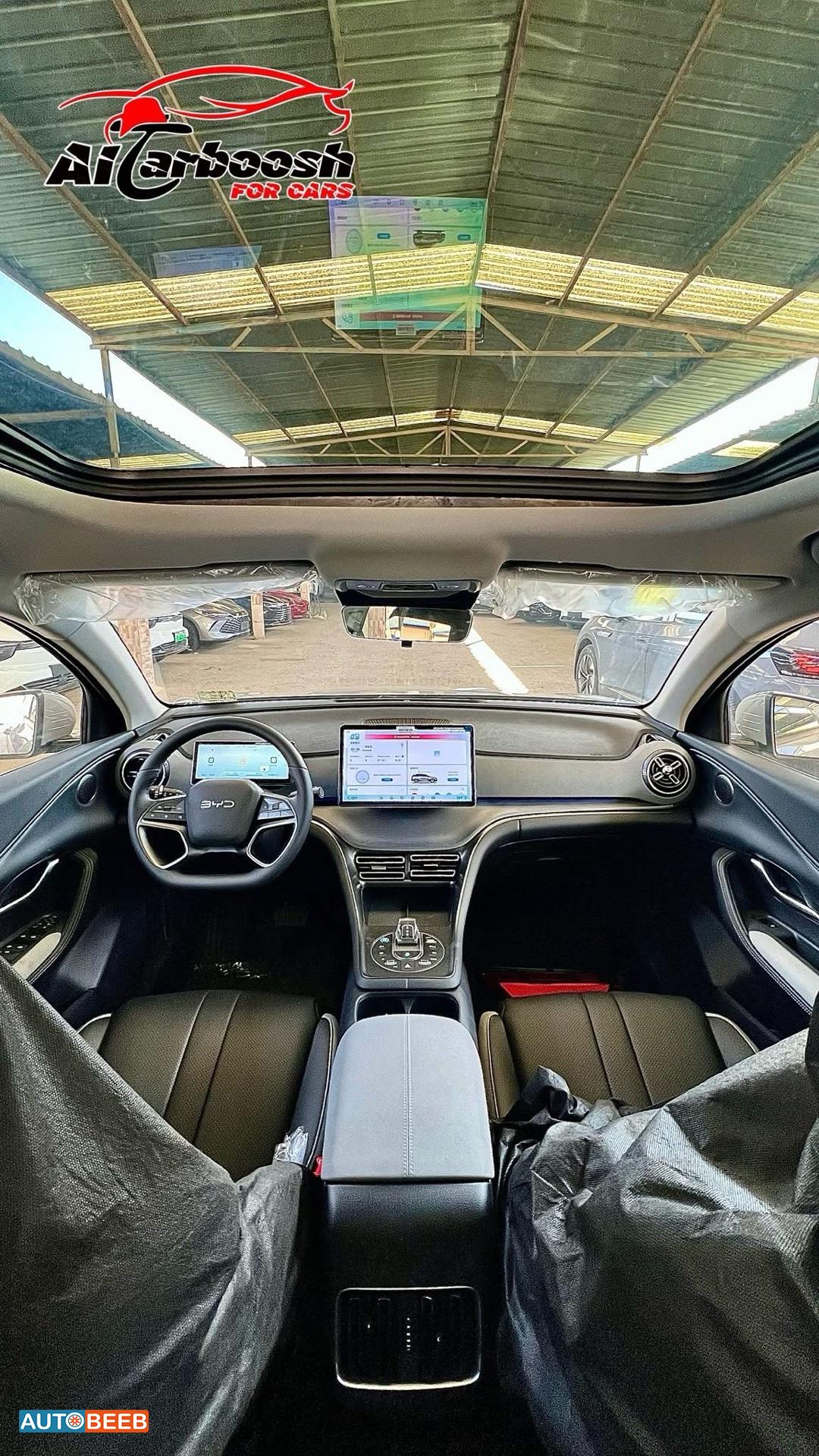 بي واي دي سي ليون 2025