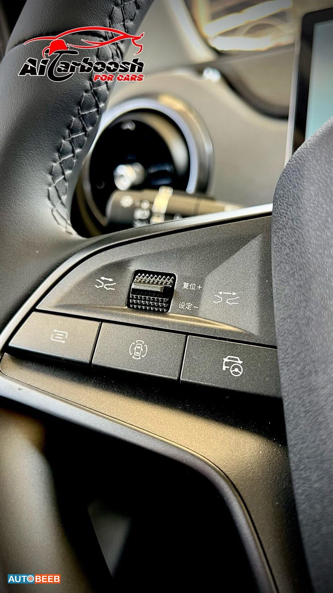 بي واي دي سي ليون 2025