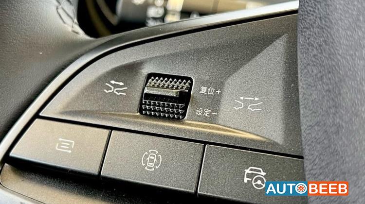 بي واي دي سي ليون 2025