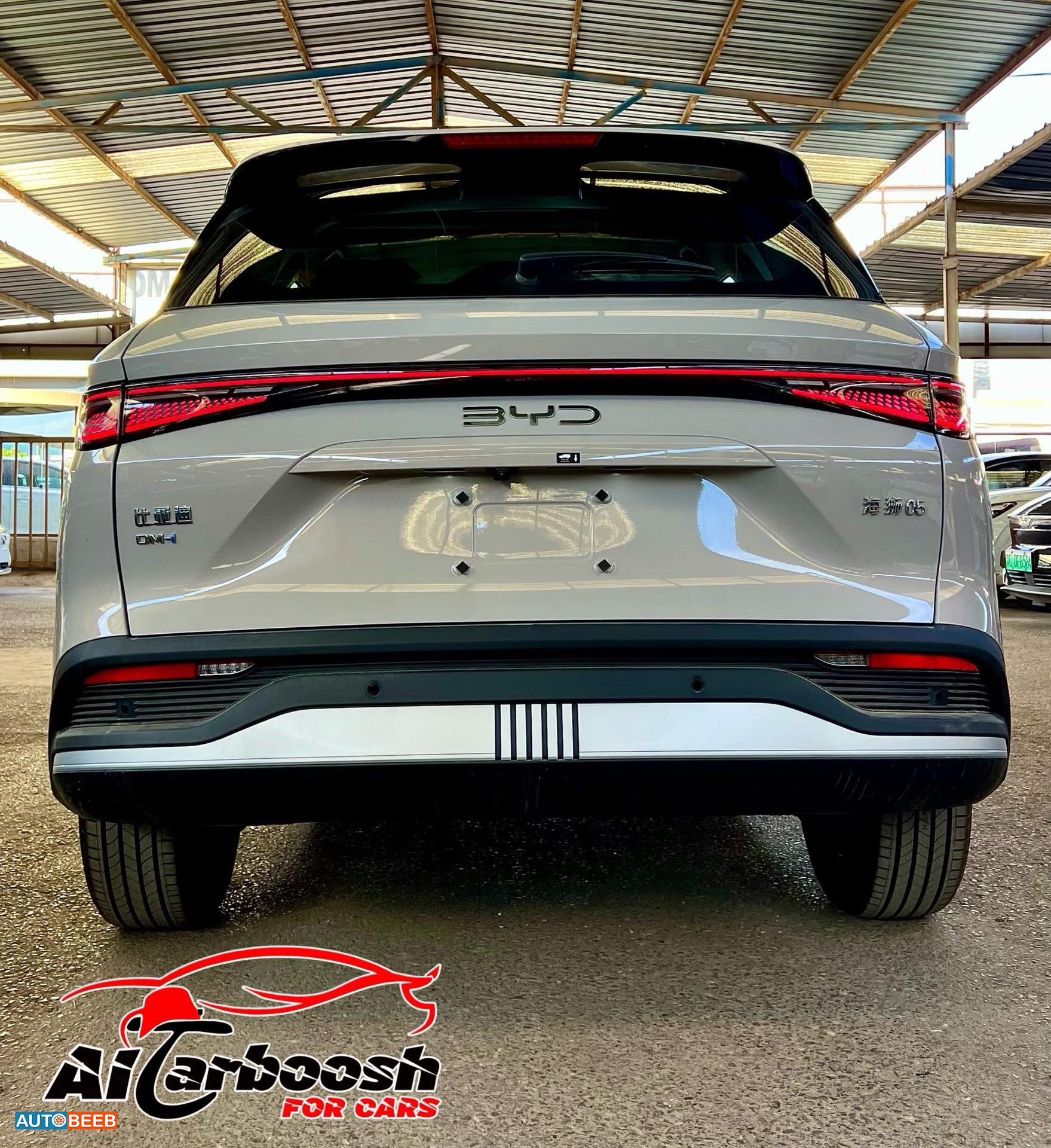 بي واي دي سي ليون 2025