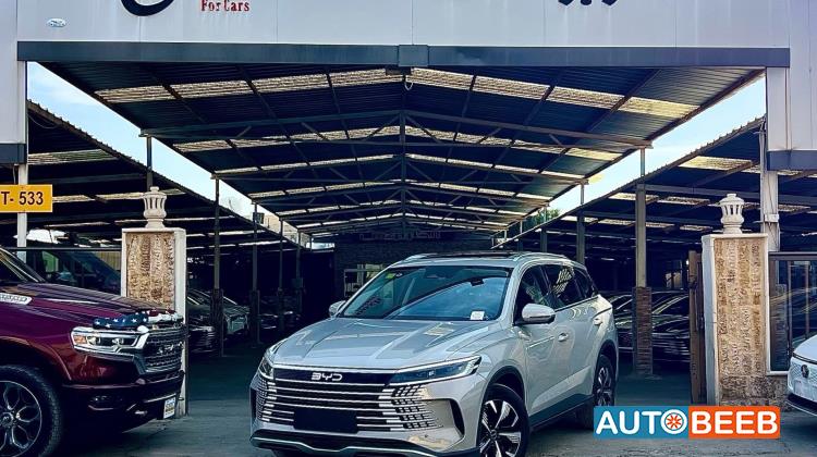 بي واي دي سي ليون 2025