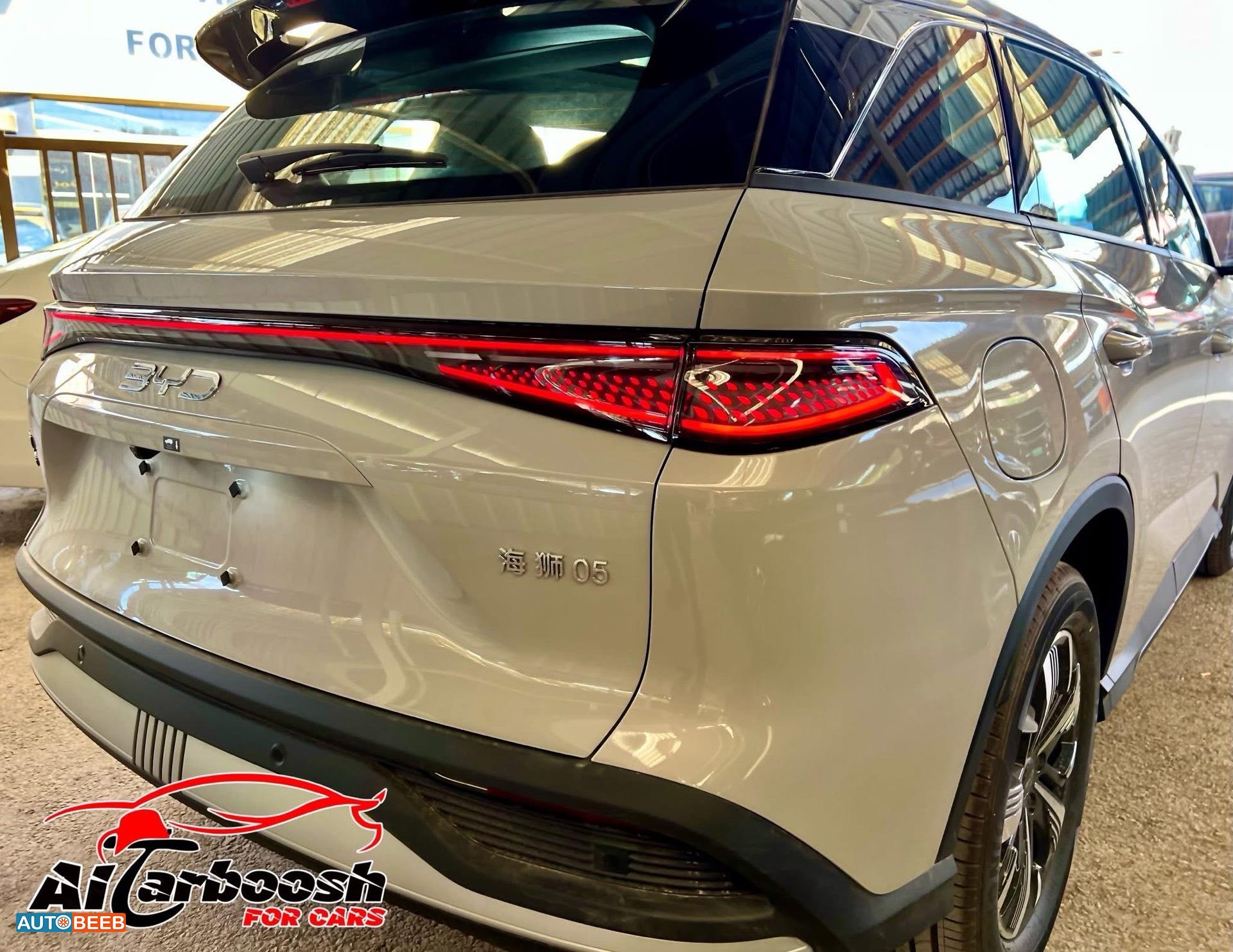 بي واي دي سي ليون 2025