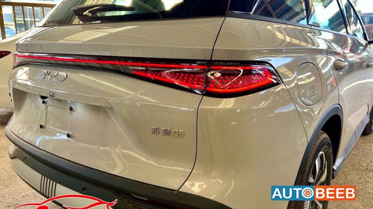 بي واي دي سي ليون 2025