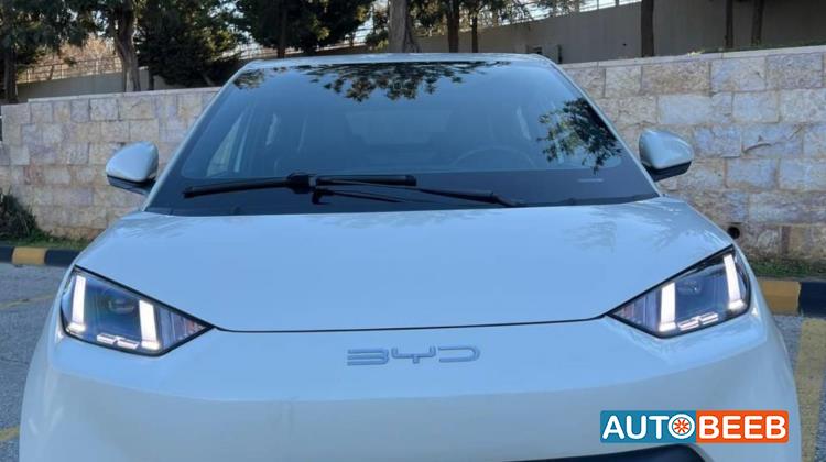 BYD Seagull 2023