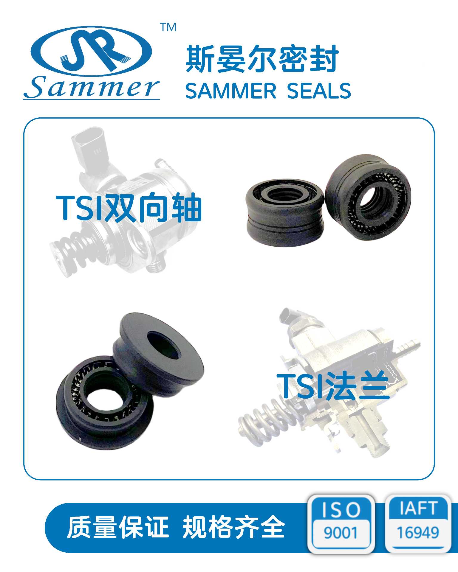 High Pressure Fuel Pump Seal for Auto