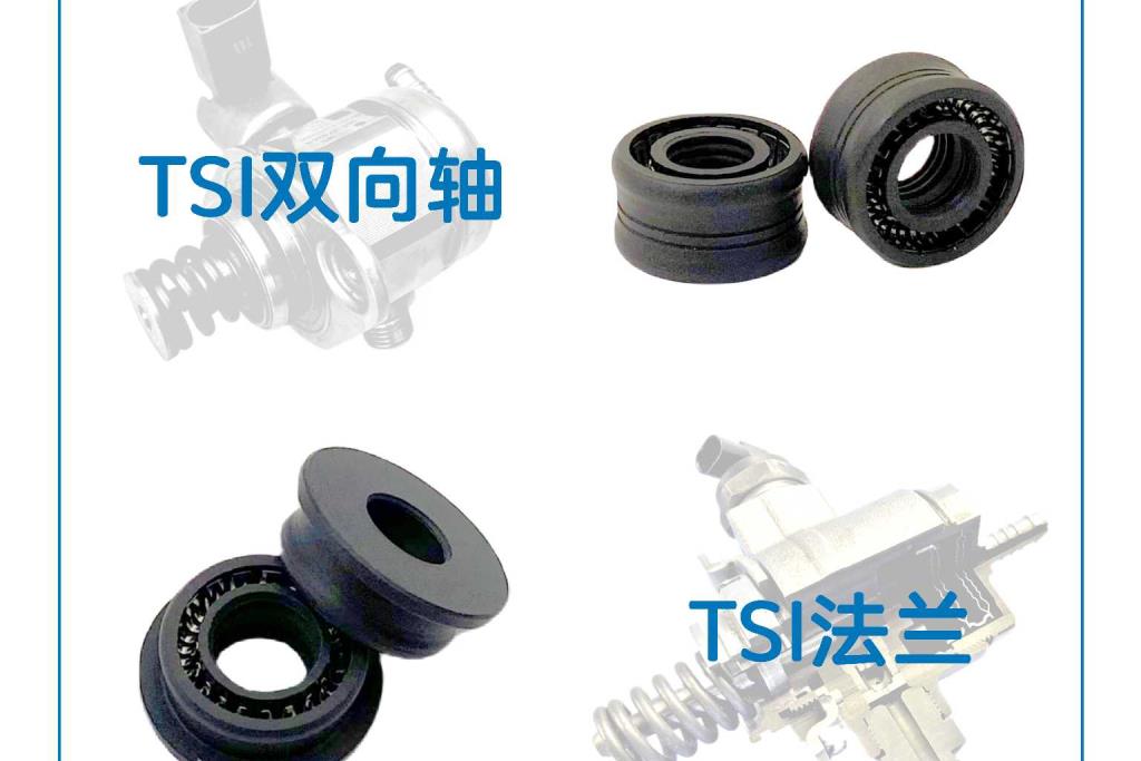 High Pressure Fuel Pump Seal for Auto
