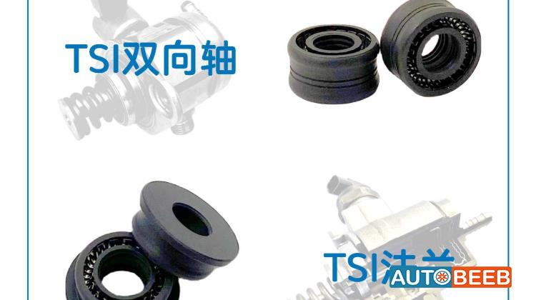 High Pressure Fuel Pump Seal for Auto