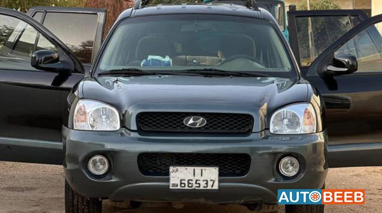 Hyundai Santa Fe 2004