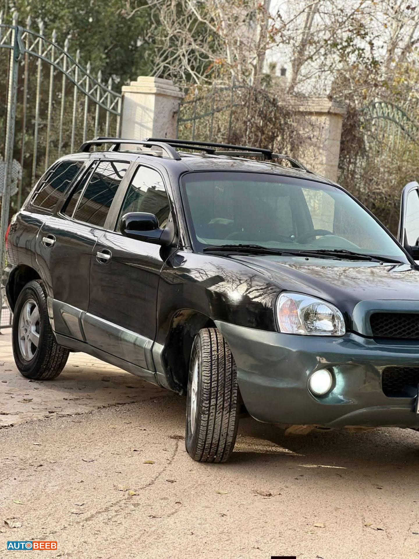 Hyundai Santa Fe 2004
