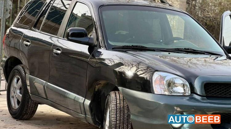 Hyundai Santa Fe 2004