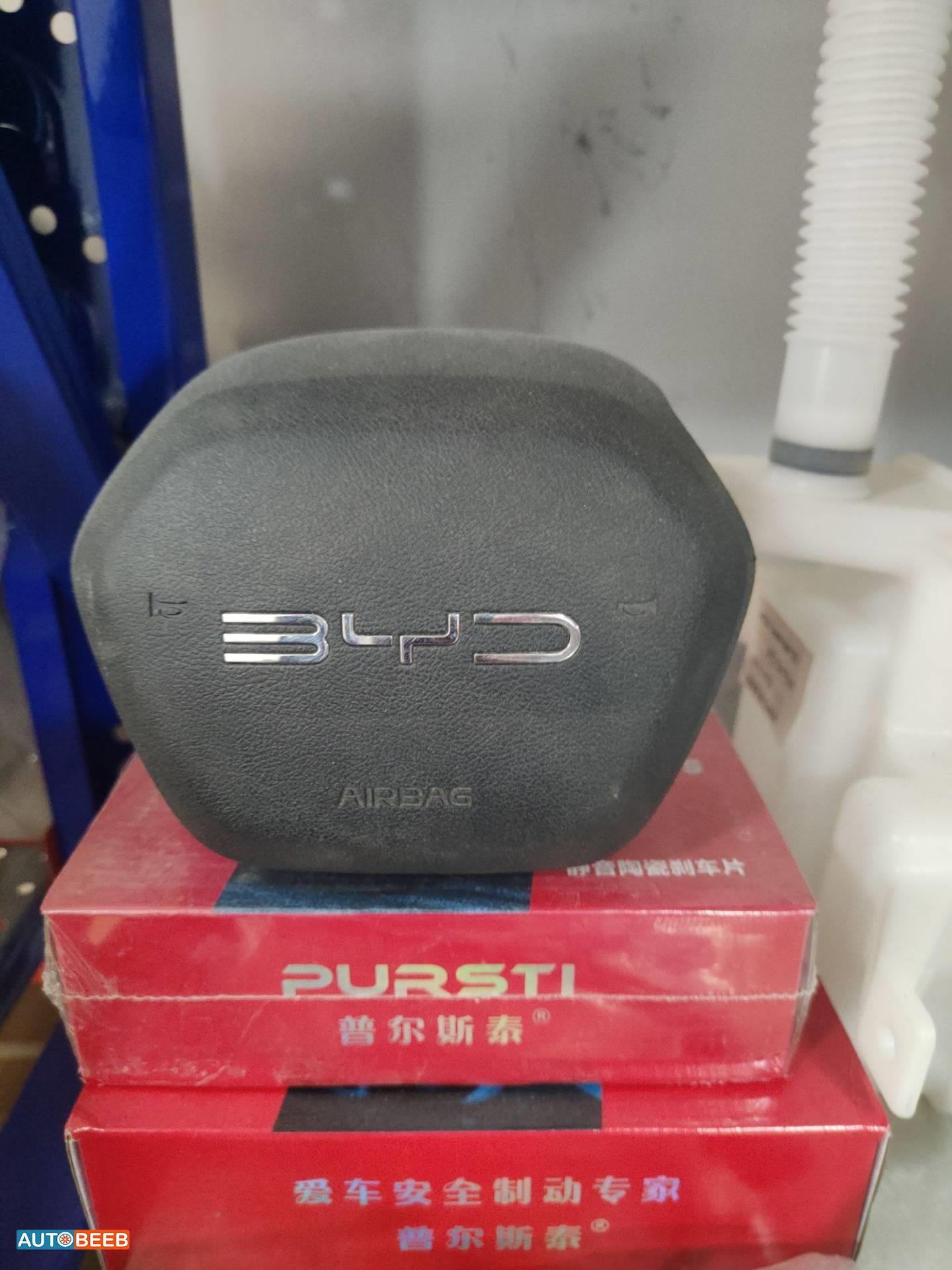 Cabin  Steering Wheel BYD Destroyer 05