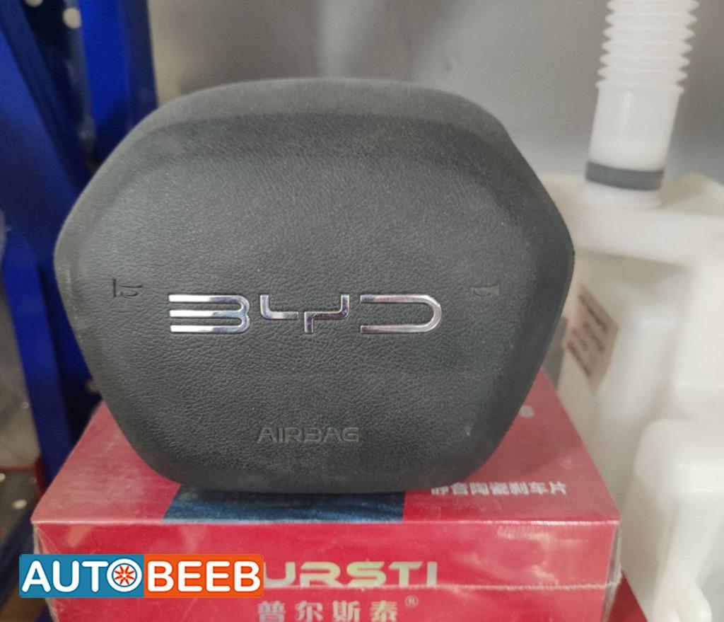 Cabin  Steering Wheel BYD Destroyer 05