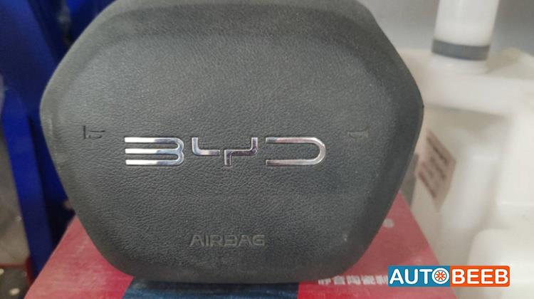 Cabin  Steering Wheel BYD Destroyer 05