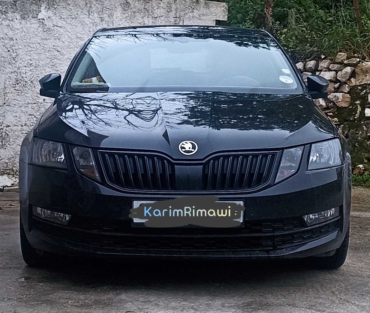 Skoda Octavia 2017