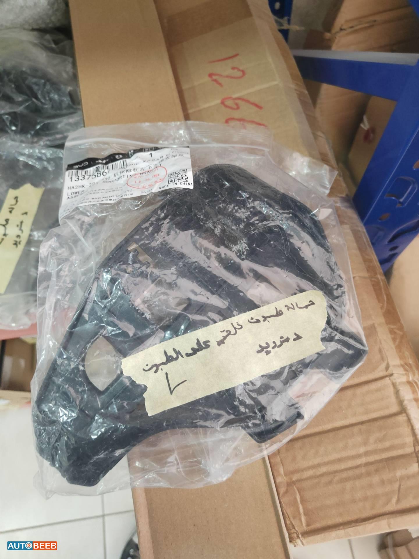 حمالة طمبون خلفي بي واي دي ديستروير 2022 2023 2024 2025