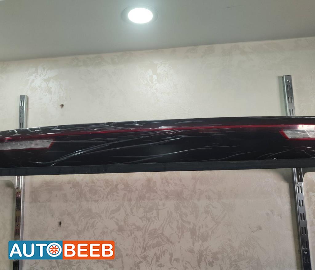 Lights Rear light BYD Seagull