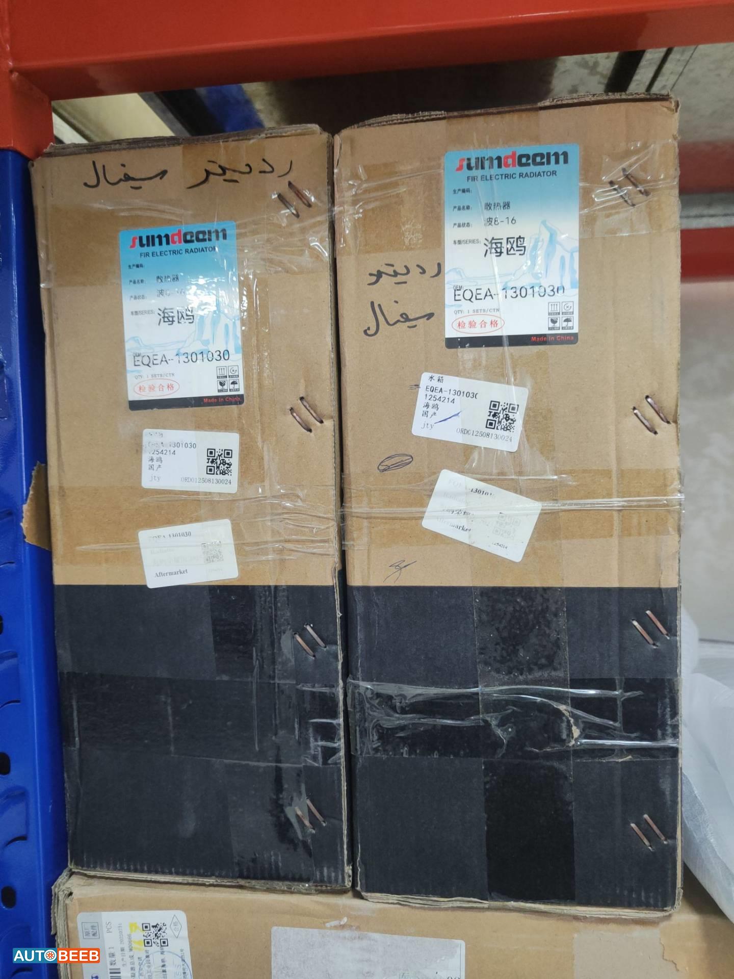  Mechanics  BYD Seagull