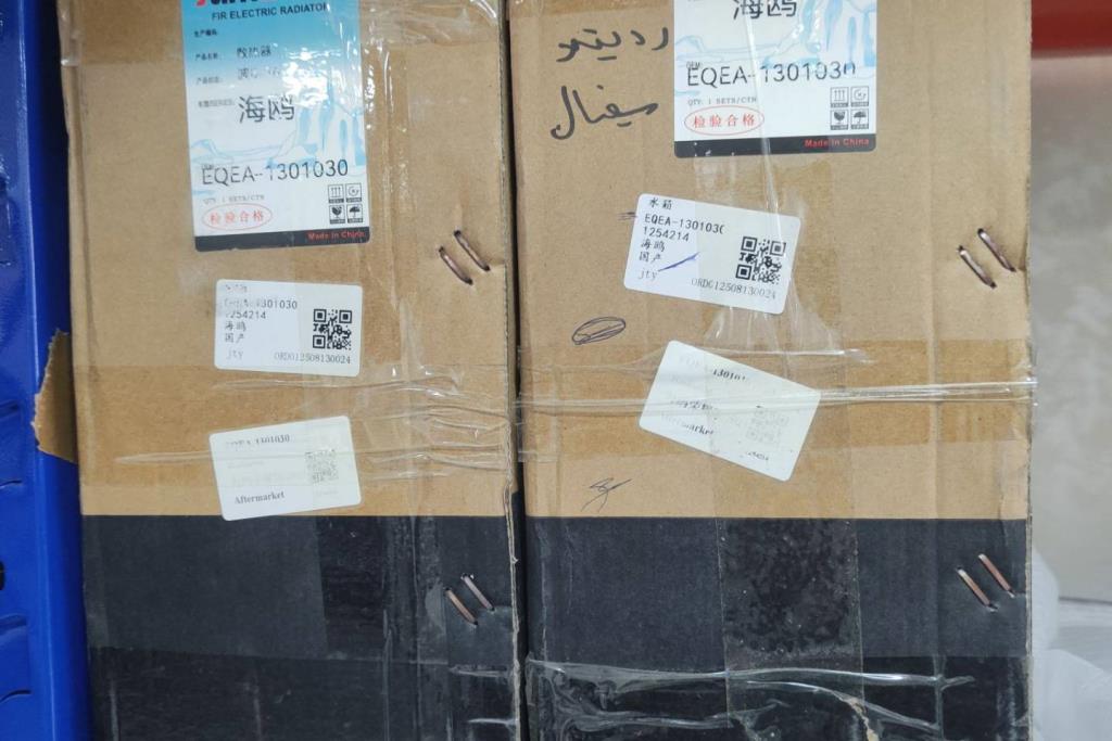  Mechanics  BYD Seagull