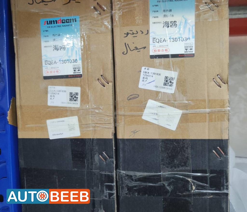  Mechanics  BYD Seagull