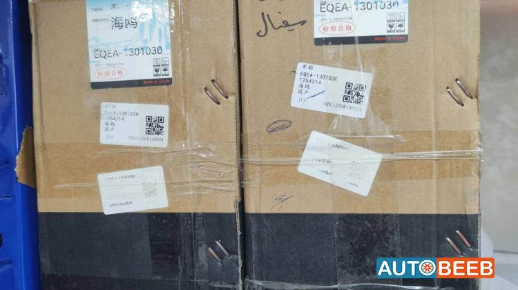  Mechanics  BYD Seagull