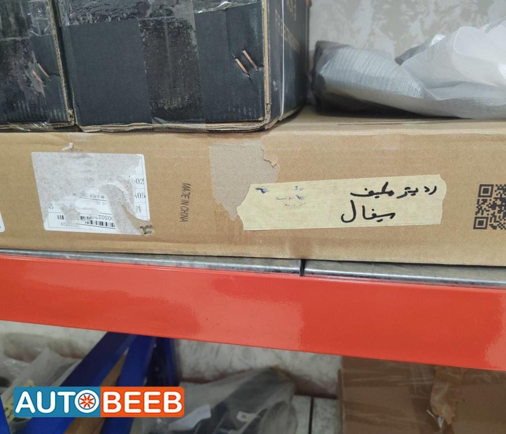  Mechanics  BYD Seagull