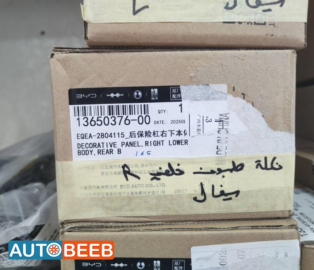 نجلة طمبون خلفي بي واي دي سيجول 2022 2023 2024 2025