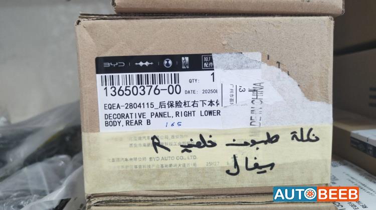 Body  Other BYD Seagull