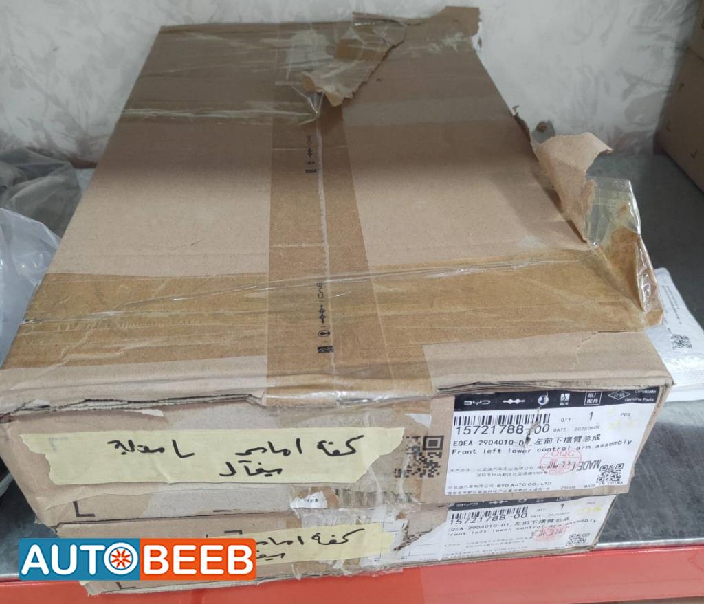  Mechanics  BYD Seagull