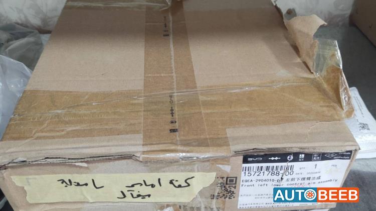  Mechanics  BYD Seagull