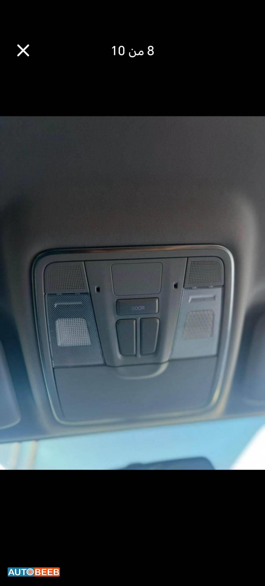 ميني فان  2023