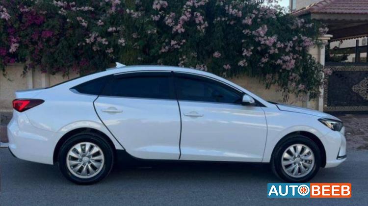 ميني فان  2023