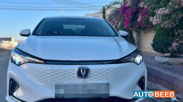 ميني فان  2023