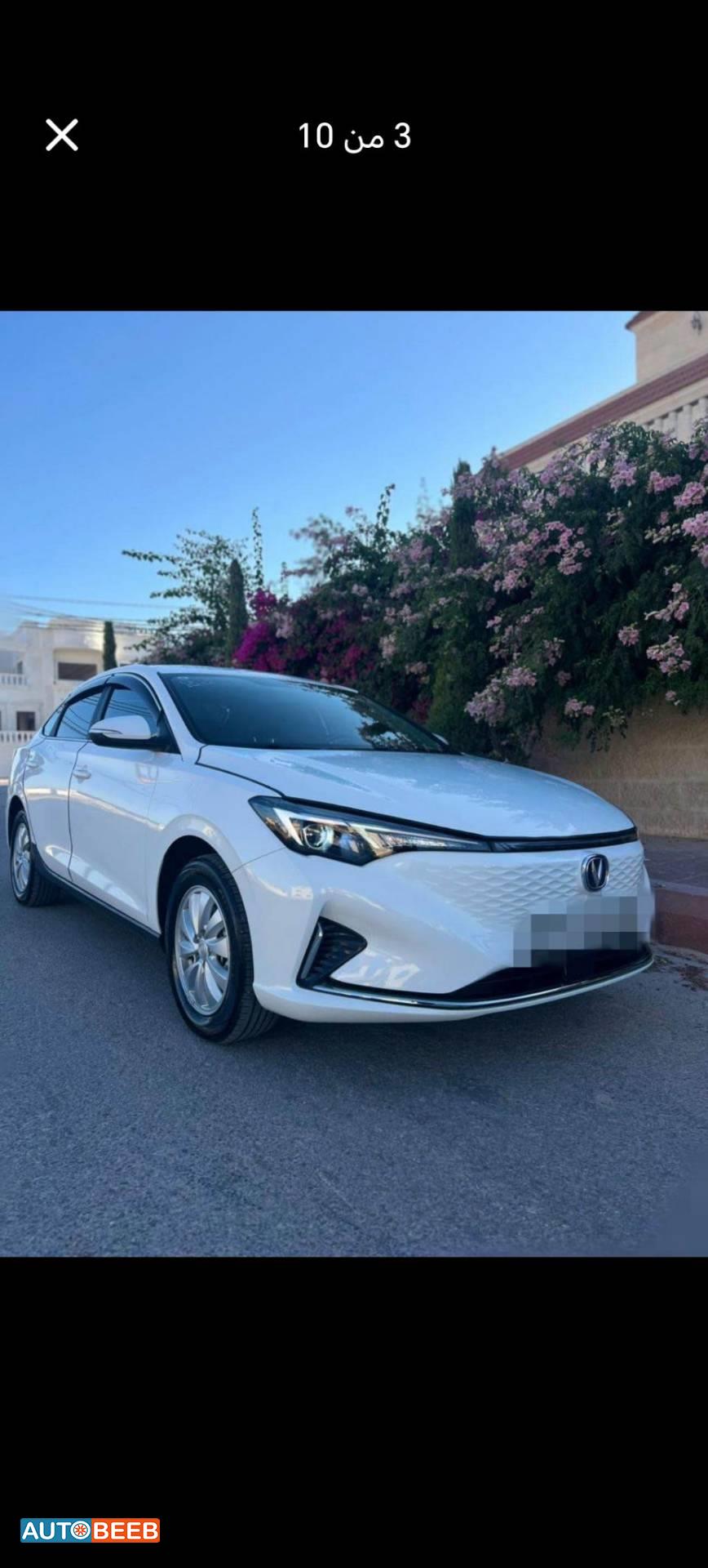 ميني فان  2023