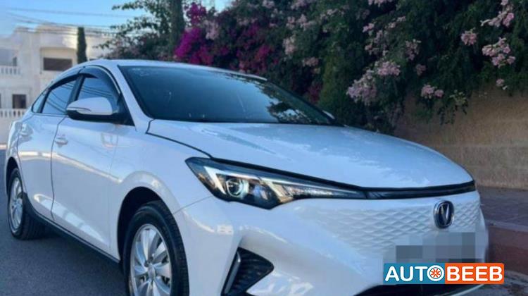 ميني فان  2023