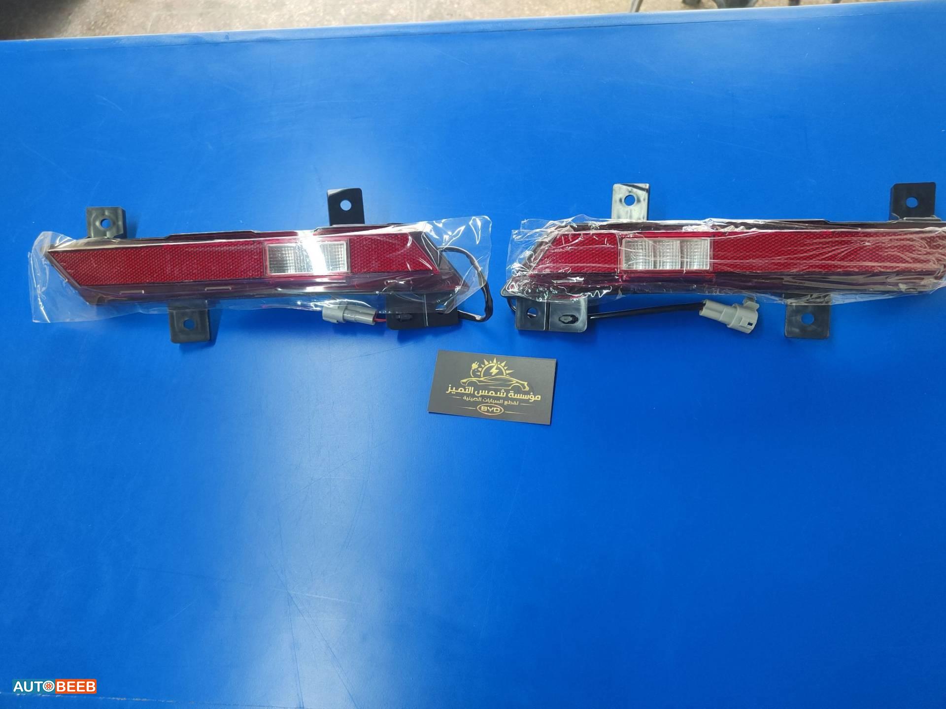 عاكسة طمبون خلفي بي واي دي ديستروير 2024 2025