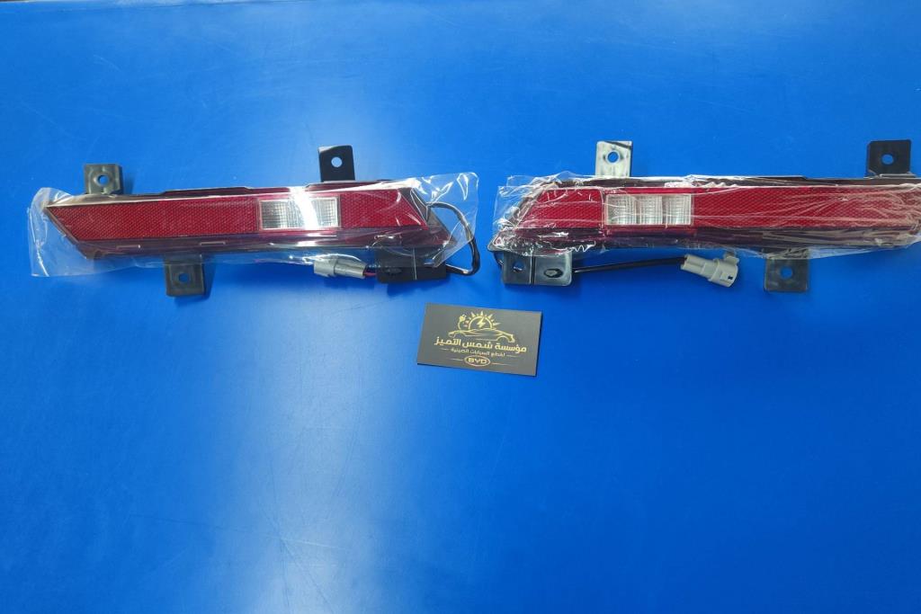 عاكسة طمبون خلفي بي واي دي ديستروير 2024 2025